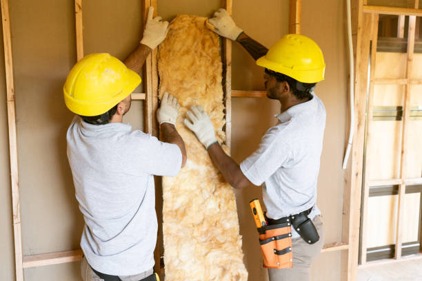 Best Insulation Contractors for Homes  in USA